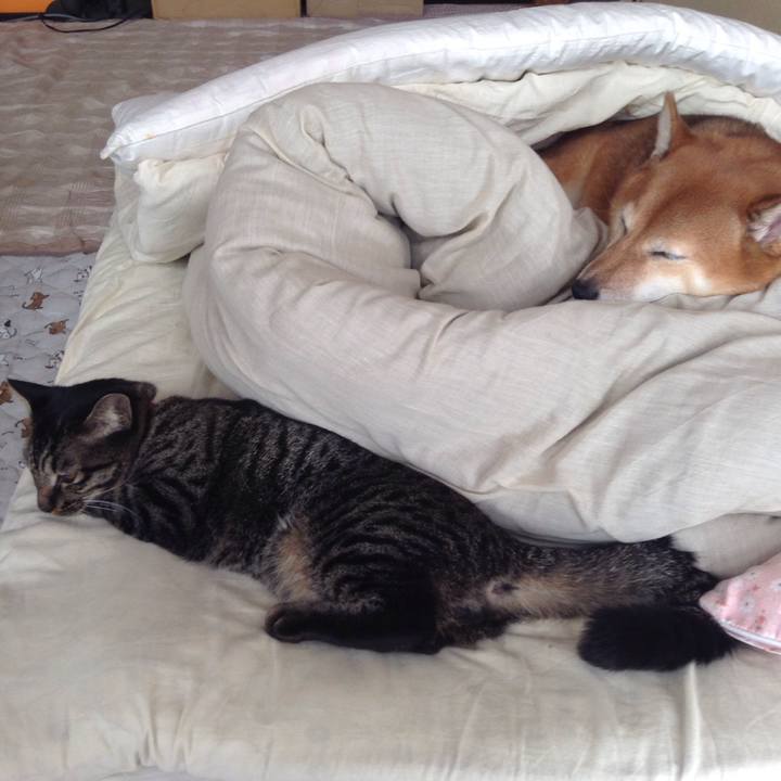 64c99f5f 329a 4f30 b6bd fba9e2d49b77 1540970068157