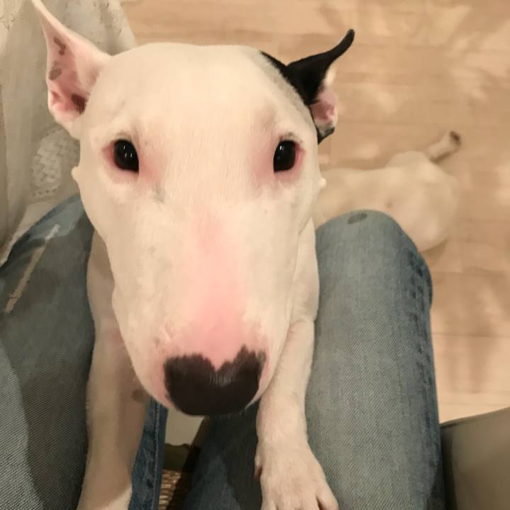 64ca23db facf 45cc a4e1 db4b36311cb1 1511167461322