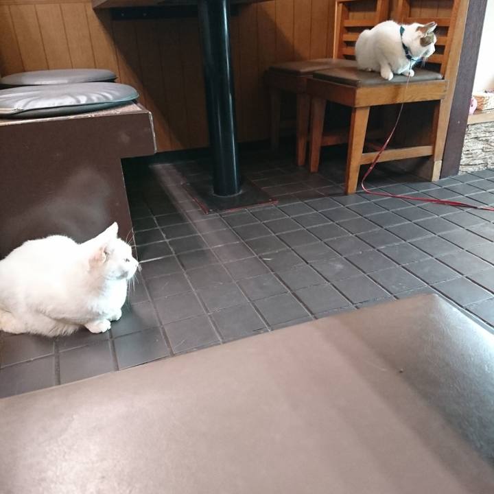 64ca4c89 4190 4e8c b5f0 0601360bc22b 1570940427637