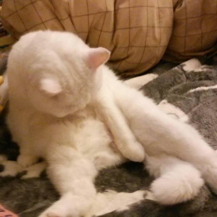 64ca61fe 3b11 4433 9d46 a4117492a2eb 1514260484019