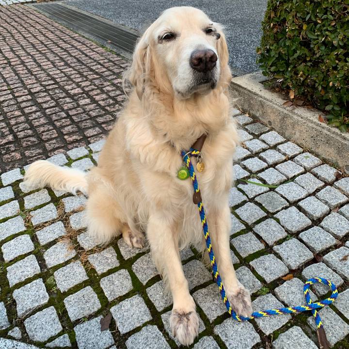 64ca83d4 7cde 47d2 8315 115b70eefe7e 1577492583888