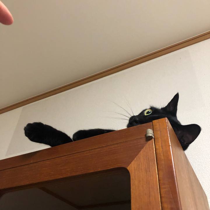 64ca913e b20c 4900 a07b 3e446253b7a9 1556111055323