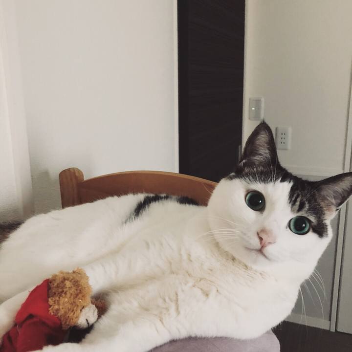 64ca9921 a18a 4bbf a9fe aaa217eb6f6a 1534893640435