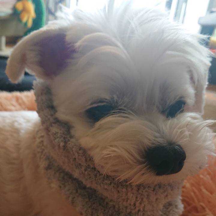 64caa34f b517 4d6e 8435 4e15492029f5 1596023006043