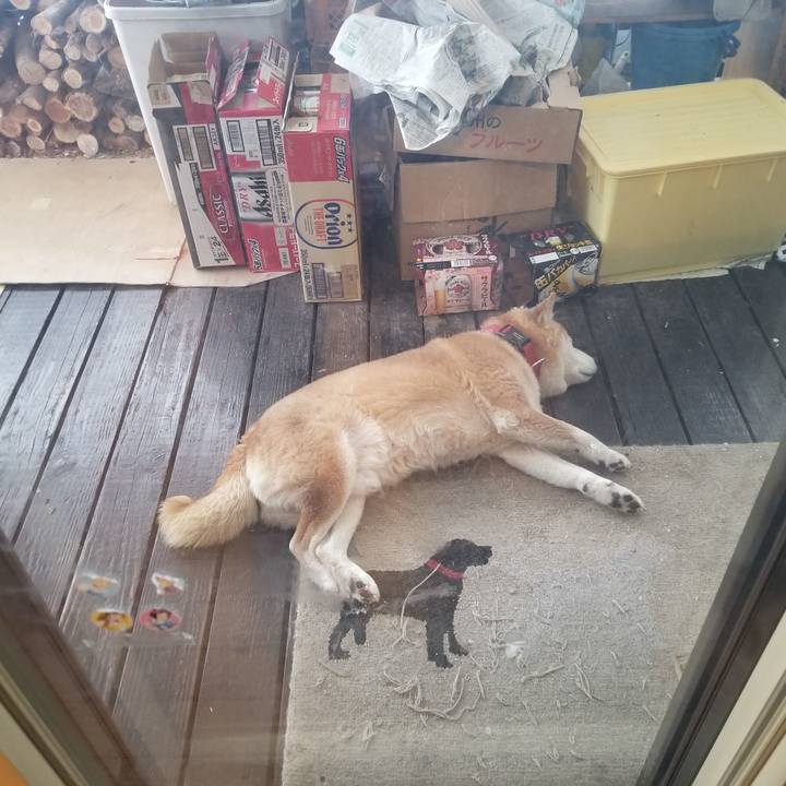 64cadec0 0bef 4101 abcf 2fdbda5dff0c 1738887083516