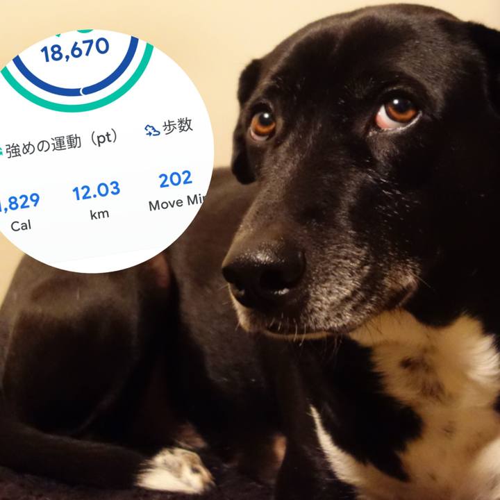 64caf20c b2c2 4976 a03e 7e899ae4bd9d 1674477320510