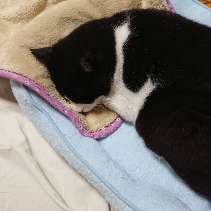 64caf712 6da5 47e9 838a fb9db8492e75 1528723660827