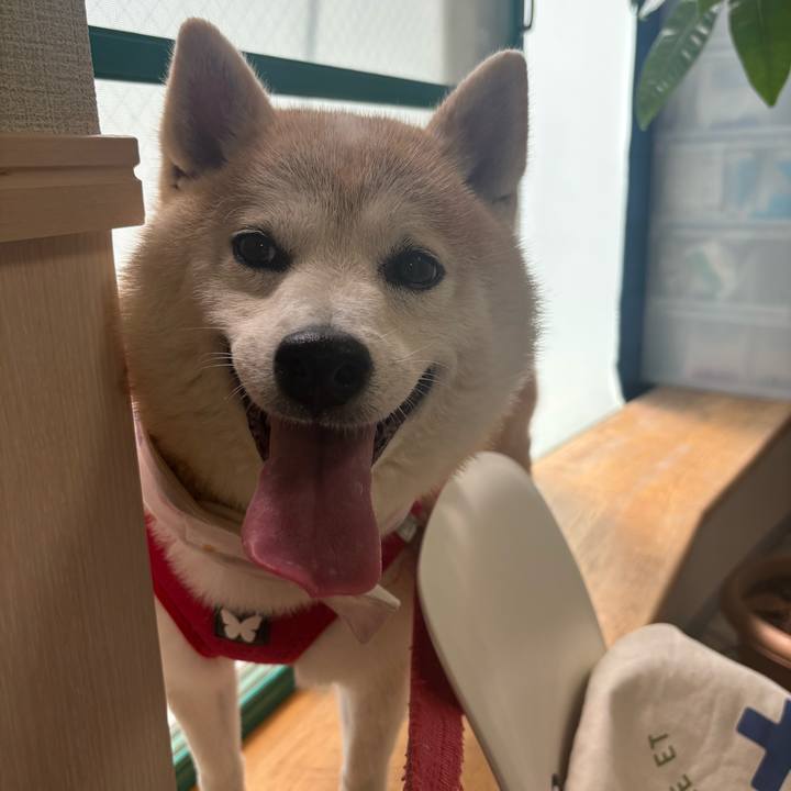 64cb2c79 2774 49c6 b01a f406e501e0c4 1755292898371