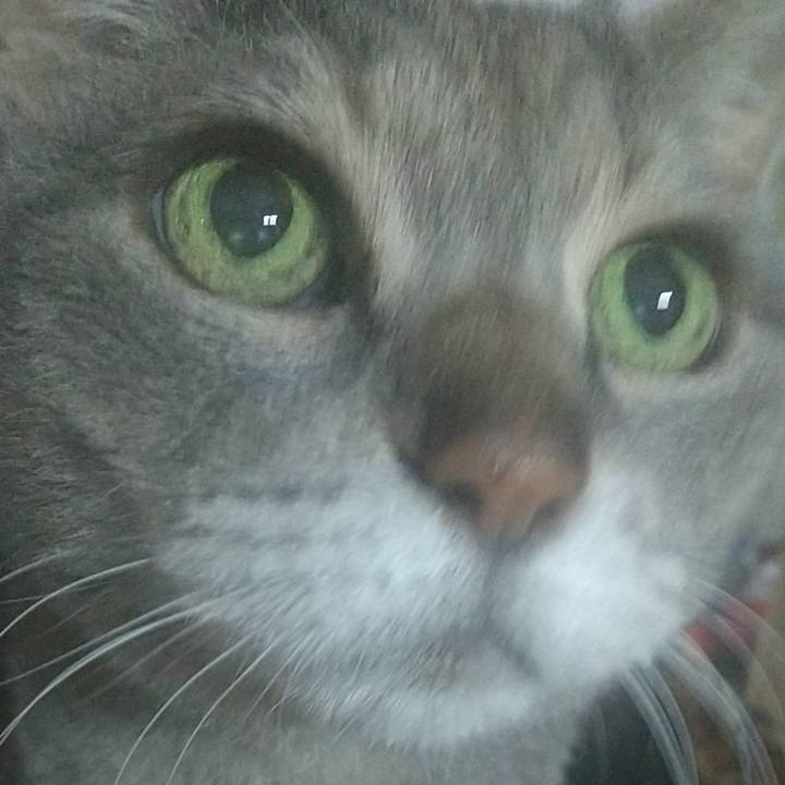 64cb6036 2d16 4b5c 9f2f 2e30f97b7ead 1686734837801