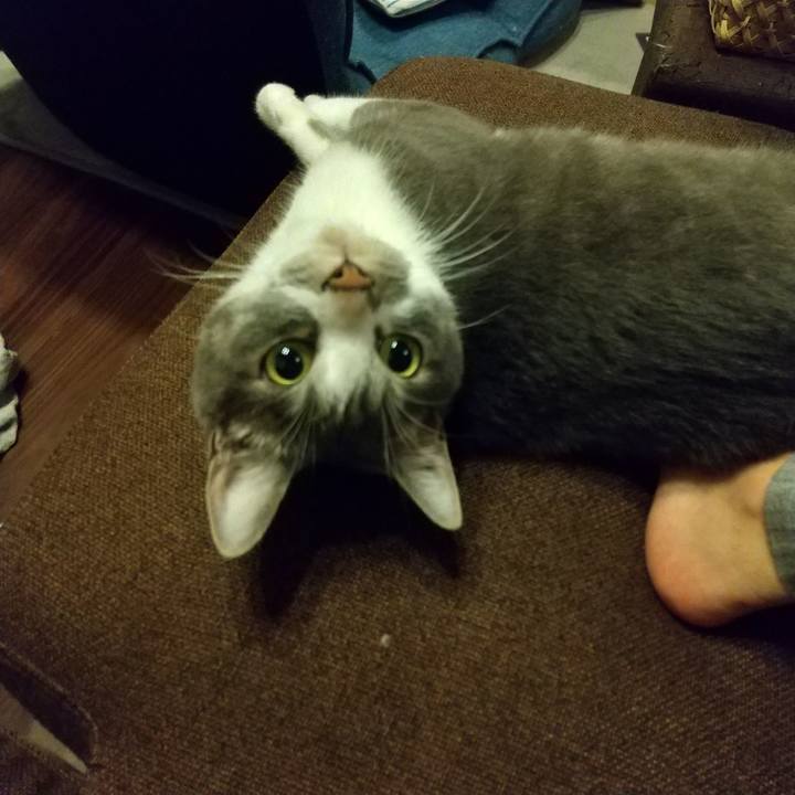 64cb6674 9cb5 4ee3 b5a5 4d61acd11d84 1623067421869