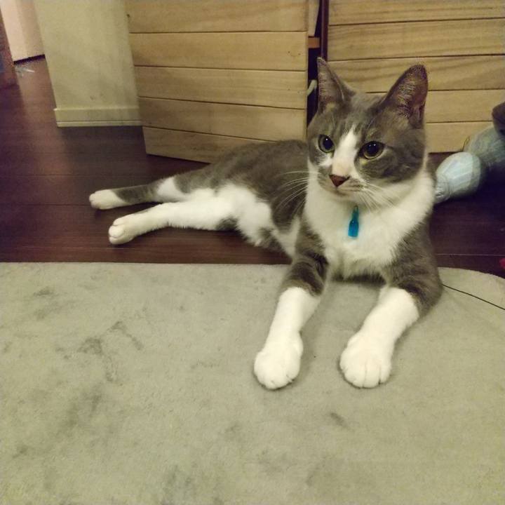 64cb989f 37d4 4921 ae26 d4a4633aa4a5 1618834378327