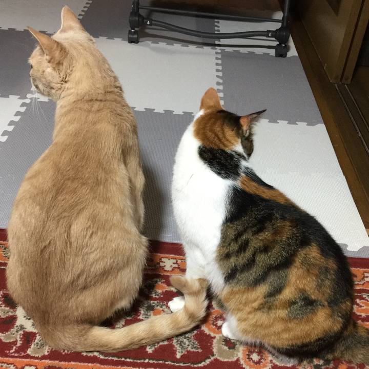 64cbb16f 6da8 4656 af3e e40d3059a5c7 1664285396309