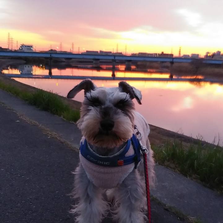 64cc00b1 179c 4891 9fd7 1c09c95d57c9 1615846059772