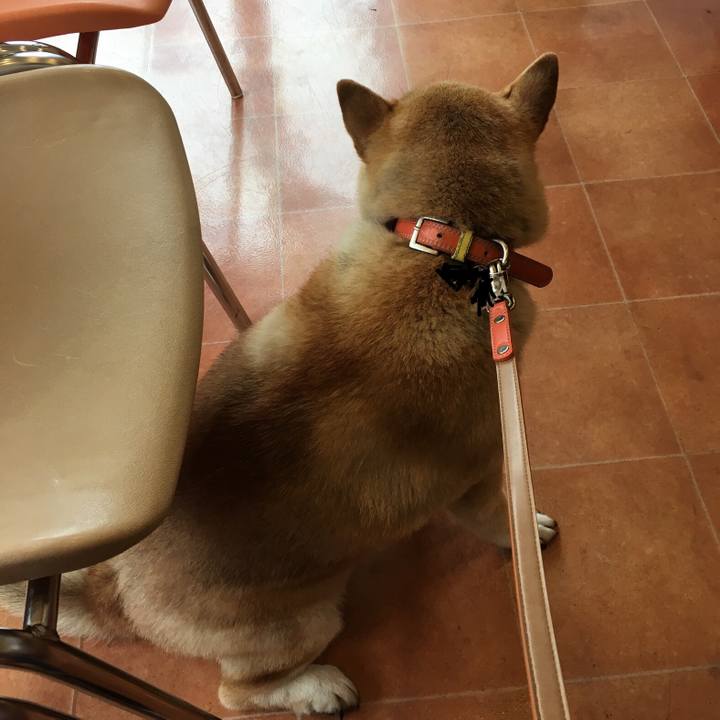 64cc0f6e 5642 4528 b58f f63553e8adac 1559867246817