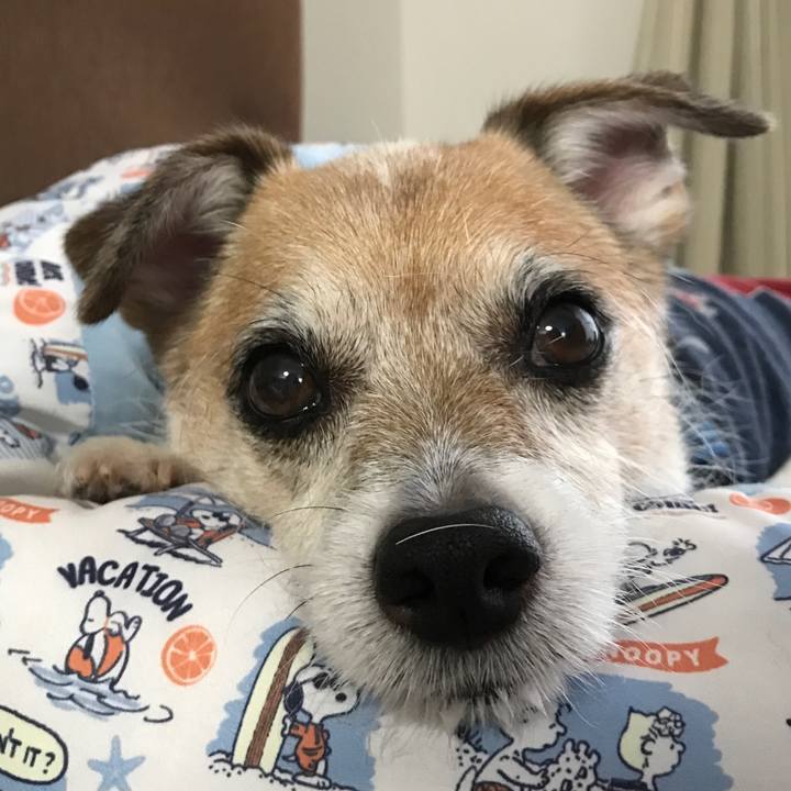 64cc207b 7e21 4fe3 8e93 ecc1e9ecbe4b 1630537206157