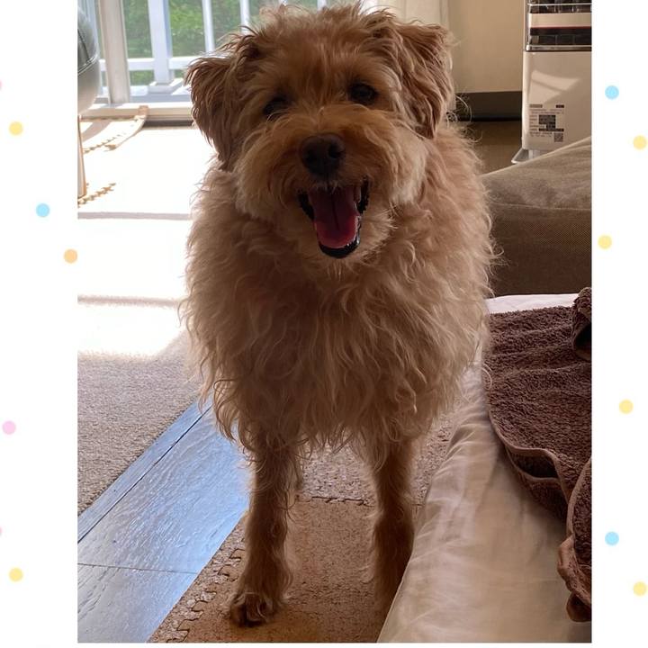 64cc2783 798a 4b7c ad1e fbd4c241e7a0 1691022873209