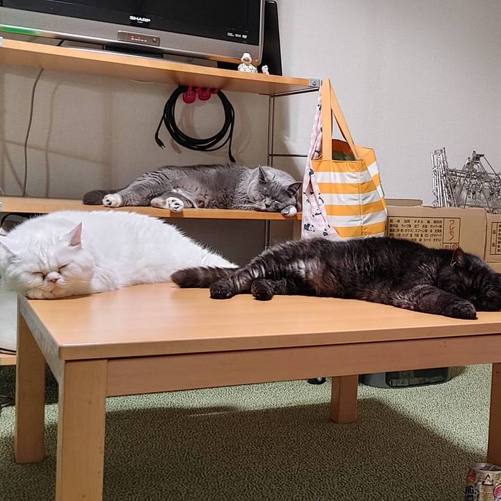 64cc30f2 7d4d 4b77 a3d5 452870643717 1627996683918