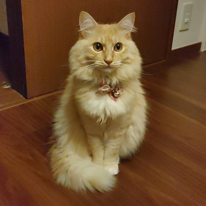 64cc3f17 f045 4305 a145 6b8aff64e540 1665224900146