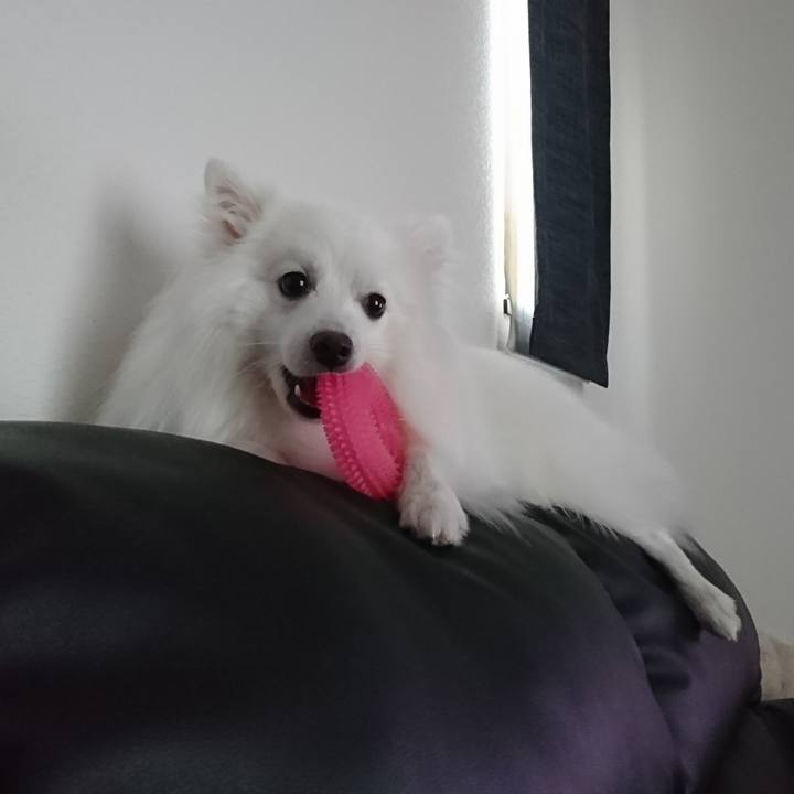 64cc4360 707f 4845 8096 24c058f88b0b 1589964478043