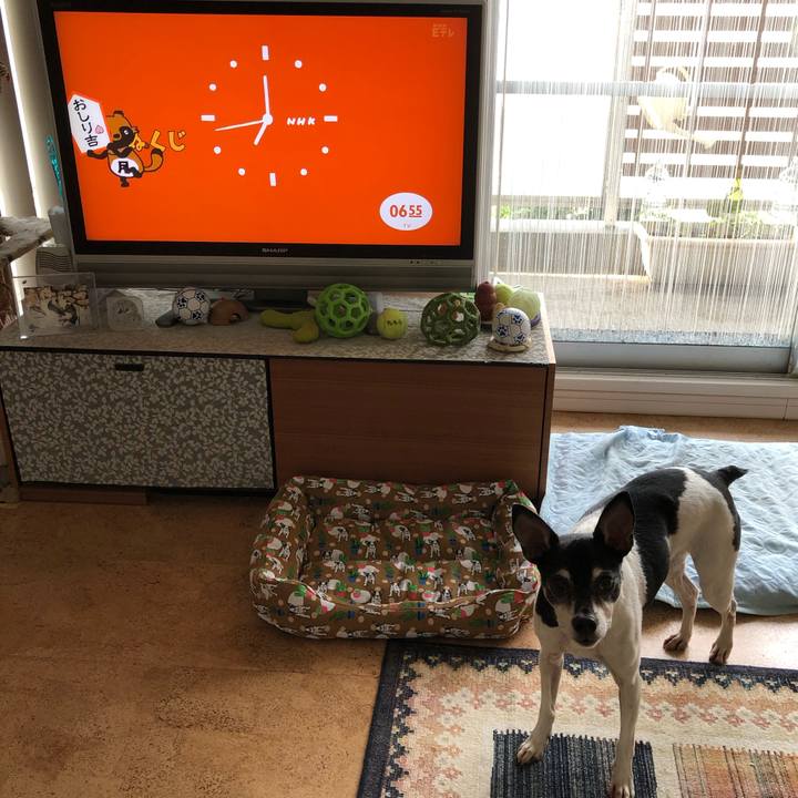 64cc688d 02cb 4137 bba2 8c8e91d48291 1558908715801