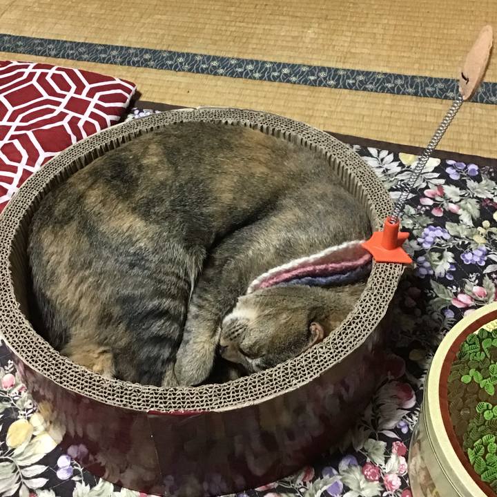 64ccbd44 20c3 4ab8 b81e e813e4858be0 1624443909203