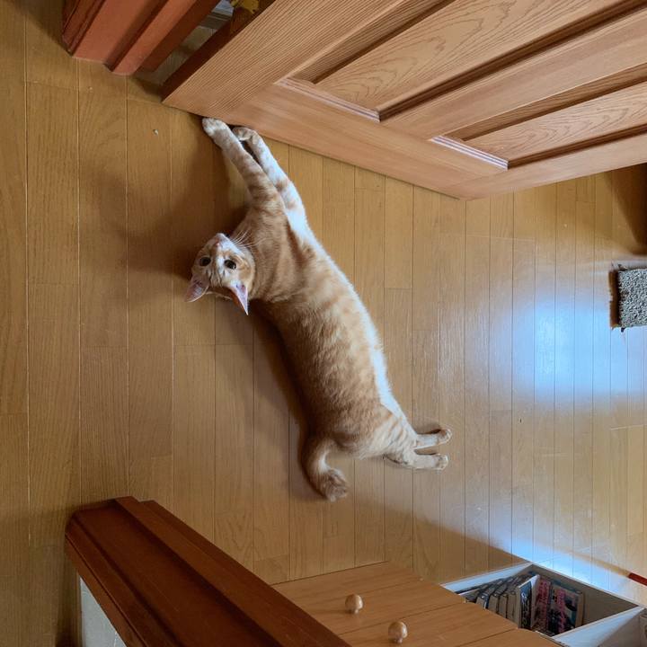 64cce3a4 06f0 4e1f 8919 94c3e1c571db 1561095524072