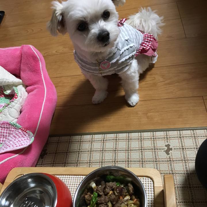 64cce6cd c618 4200 b26b 50a83807b66a 1521968721954