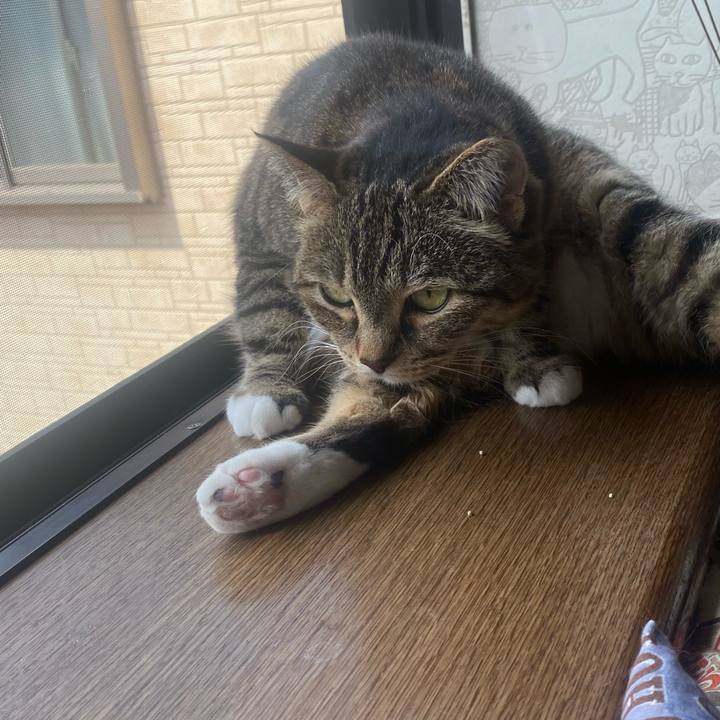 64ccf1d2 f9df 481c abb0 c2b83c0e9d32 1622334897919