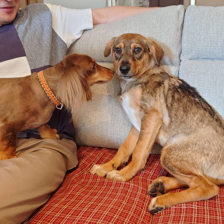 64cd3f3d aabd 4032 81d8 64f5c57540be 1685621612518