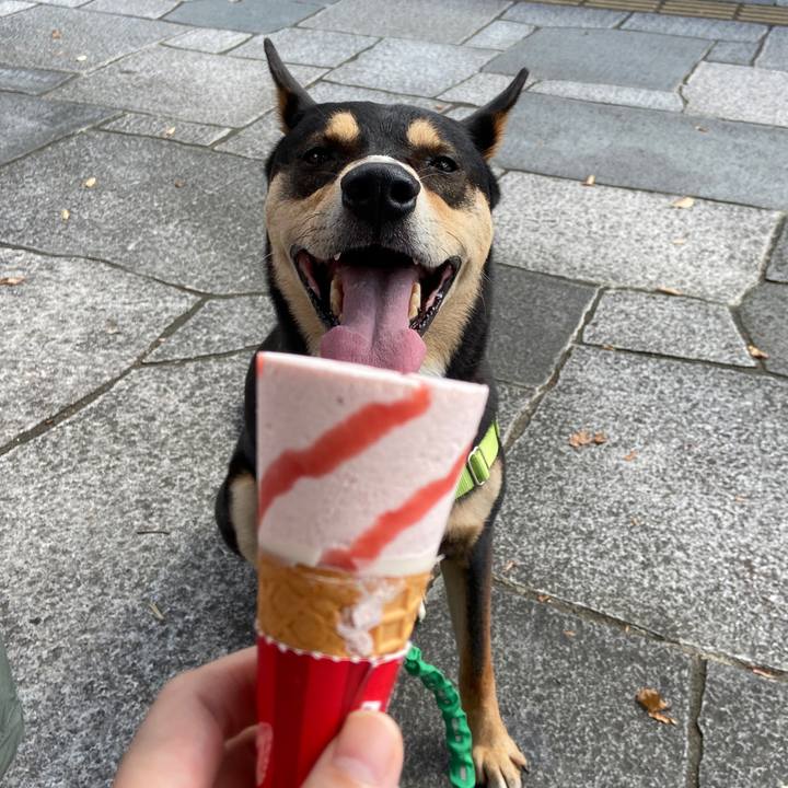 64cd54bf 2036 4006 926d b67a8dd64056 1630930427640