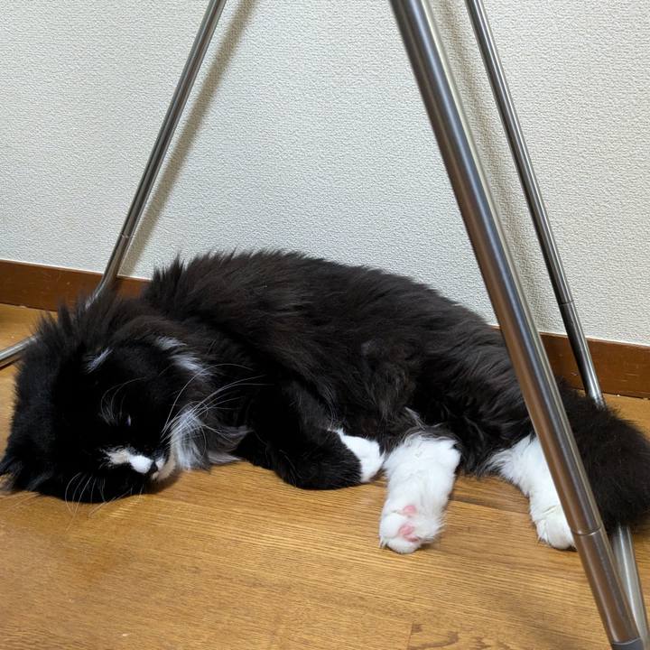 64cd7280 c271 4d3b bddf 84a0ebf64f42 1720962622170