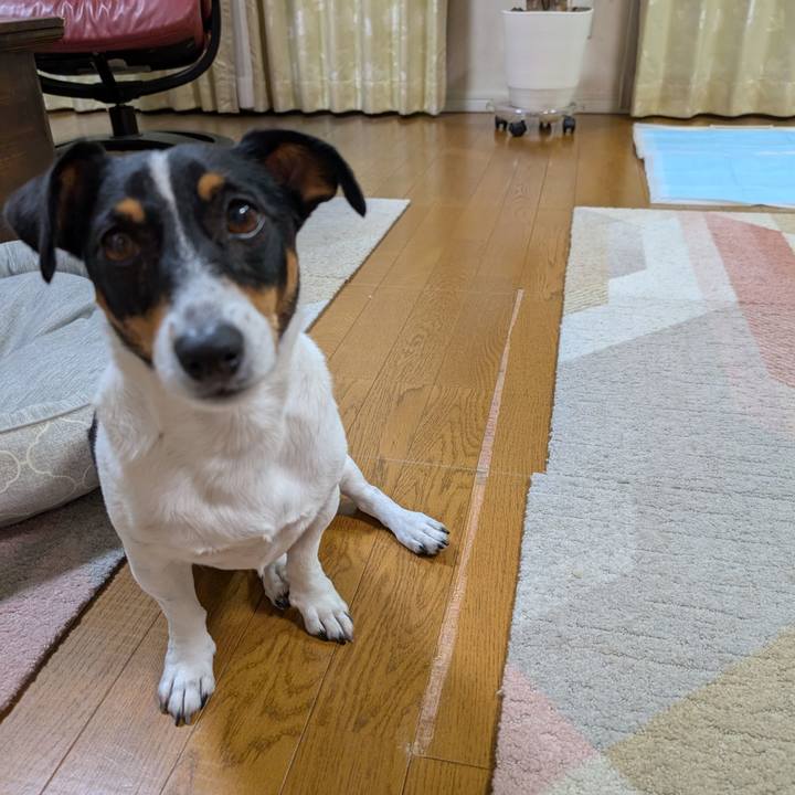 64cd7764 6852 4263 8c35 816b81417e6f 1756641559155