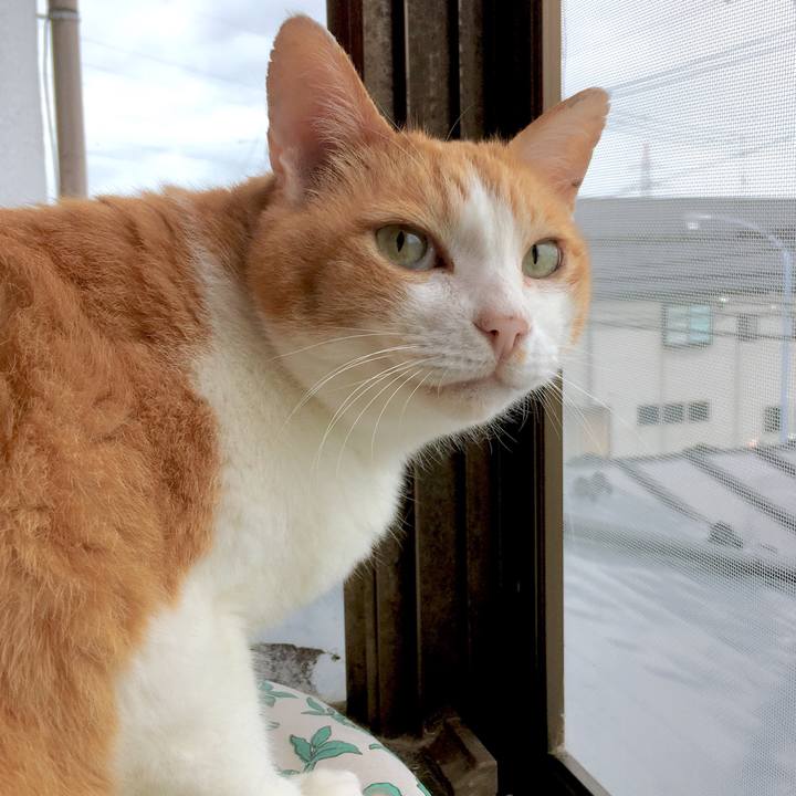 64cd9828 b058 4f31 88dd ef5a9eb79633 1562556893238