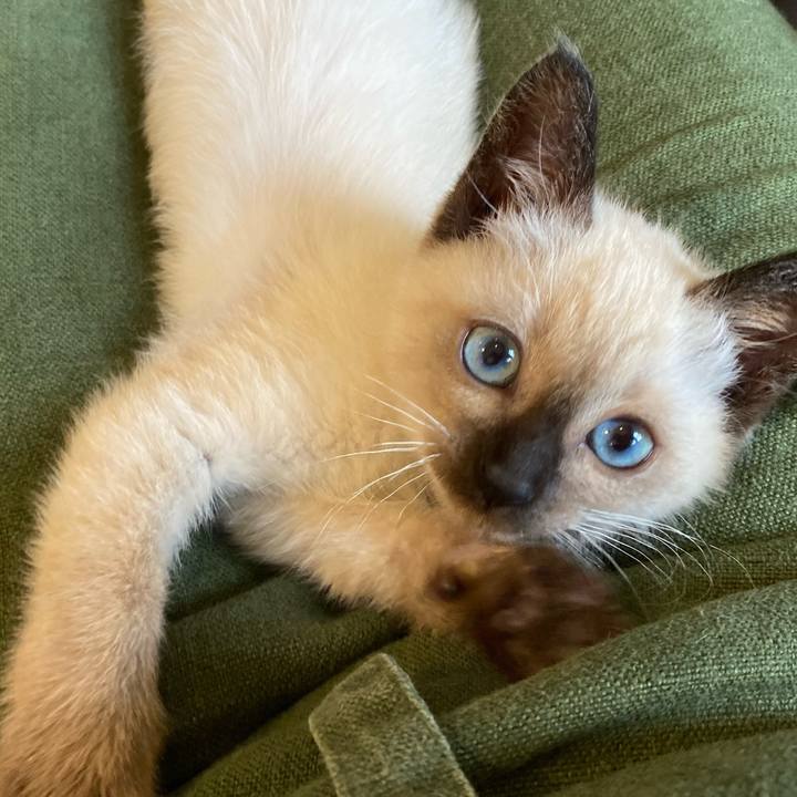 64cdc72b 8dd2 47bb 8228 7d6d8bfa7b08 1686293987174