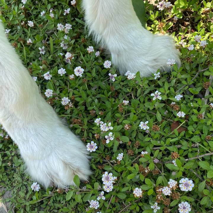 64cdd66d 3789 4273 a2c9 0806a14f6850 1622431464065