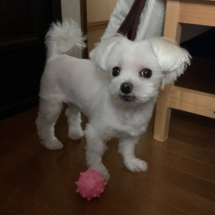 64cdf316 07c3 443b 8aa6 270de1145bec 1686879091464