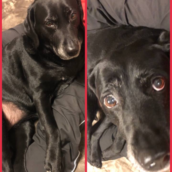 64cdfa5a 42f3 4d5d bd5a 49154b4702ce 1551450943138