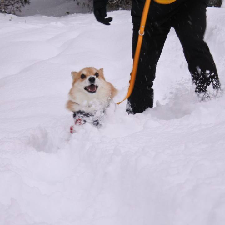 64ce0f03 2708 45ae b9d3 b6d1955e84b8 1641117032719