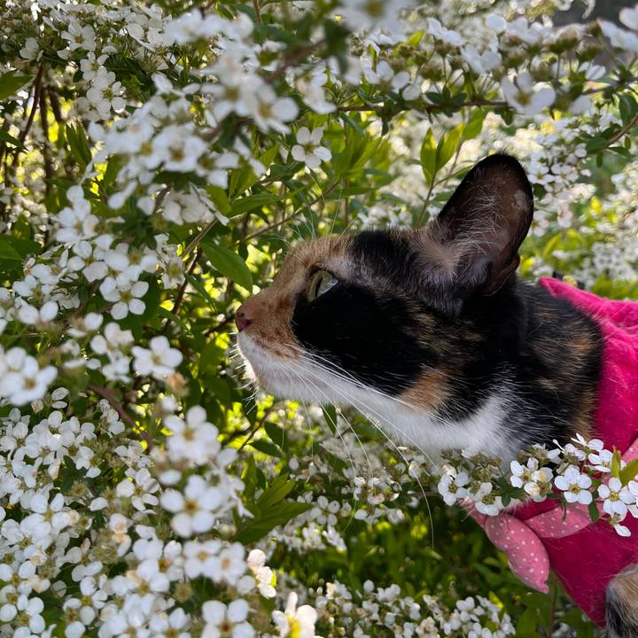 64ce3f8c 68be 4344 8fa2 94ccac5df074 1681778826860