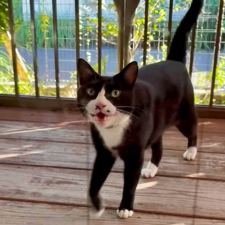 64ce7a13 87b6 4f82 b879 134168aaf0f2 1753522893971