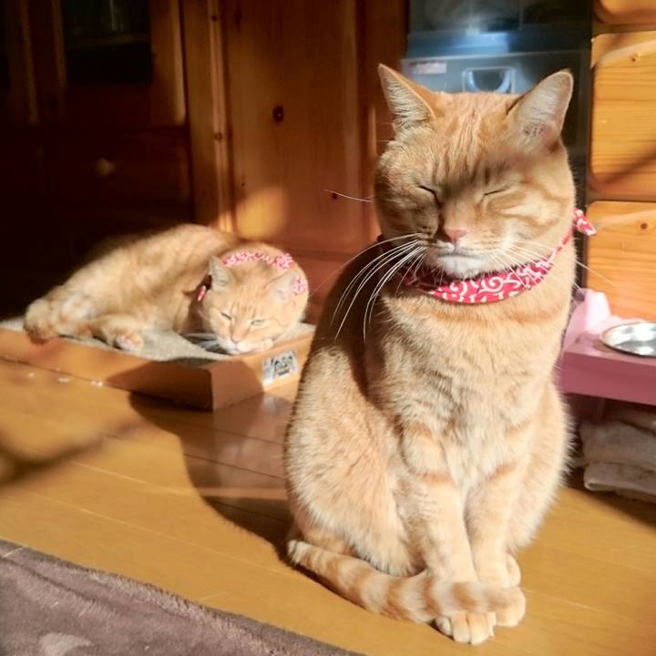 64ceca50 7503 45a2 b75d 9db42b659649 1513213604389