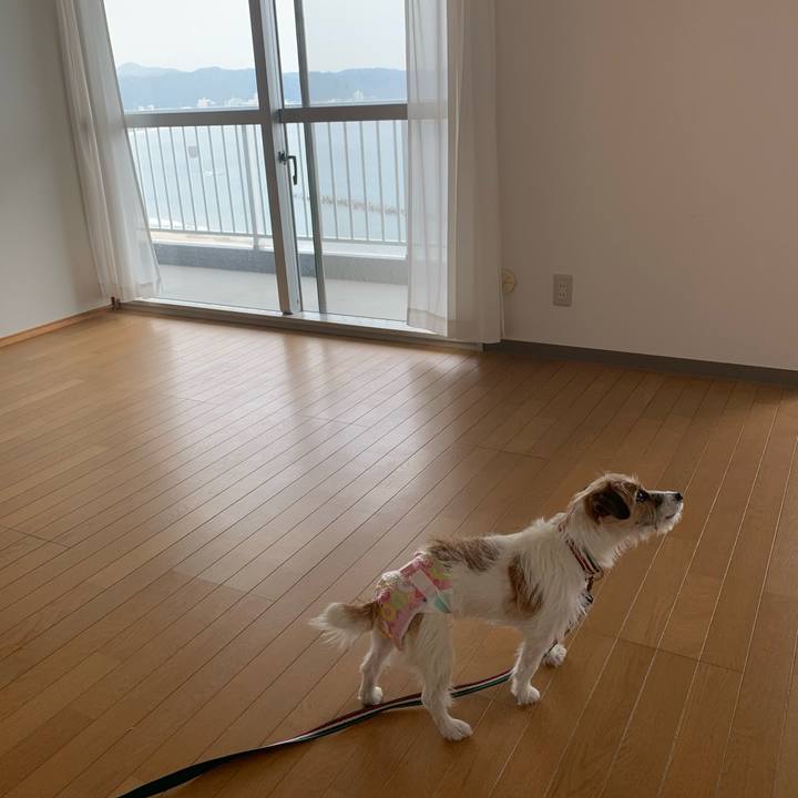 64cf0344 b96b 4898 bc7f 439999e2d66f 1771249751462