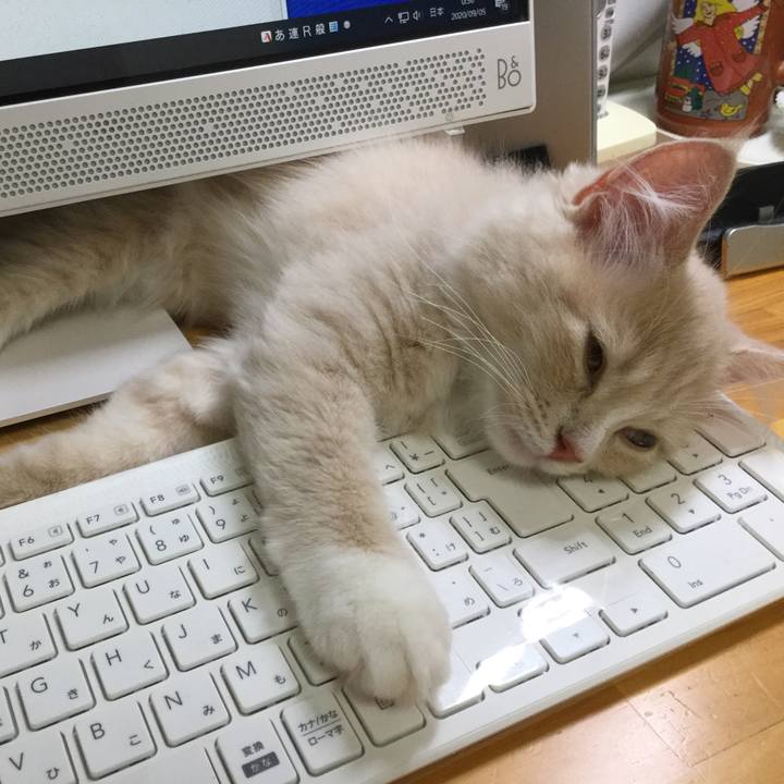 64cfa462 ba3f 4e19 b6fe ddc4bf023f44 1599234105075