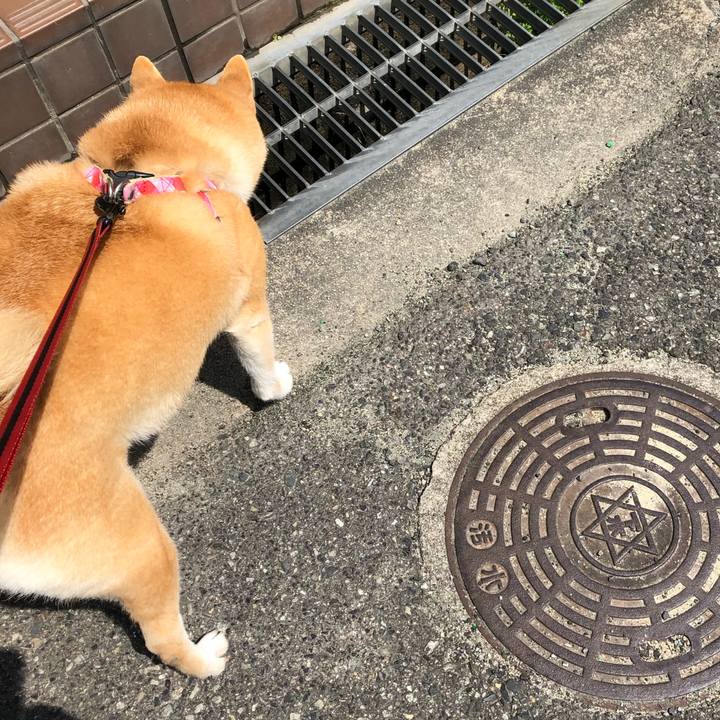 64cfae8c 6ef4 469c b606 ffa6e1ce365d 1554871676040