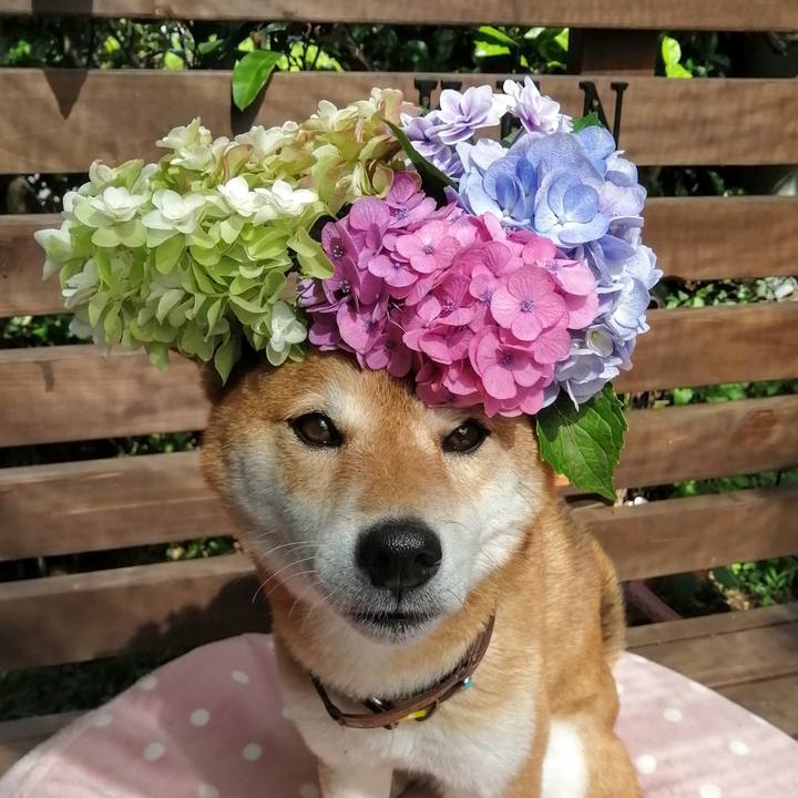 64cfe3fd 73a2 4dbb 987f 6e648cf2d4a4 1624859533735