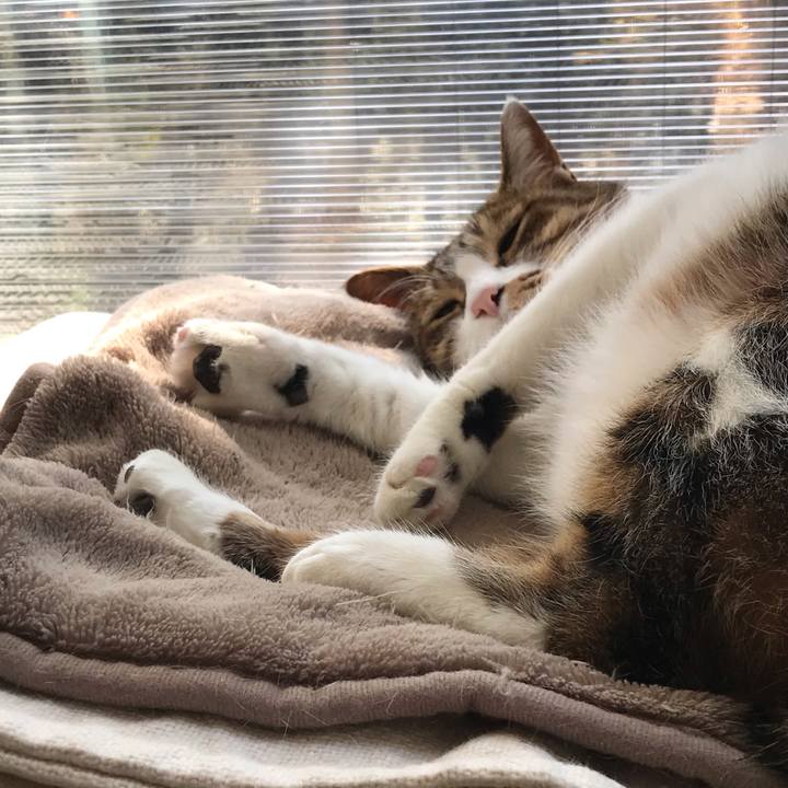 64cffee6 5eb3 4eba 9cb2 dfc3ac1f69ec 1614215820336