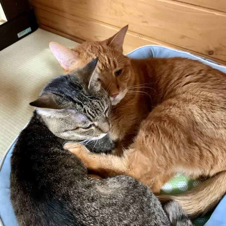 64d0585d d553 4355 ae43 e6a418c145db 1653643678851