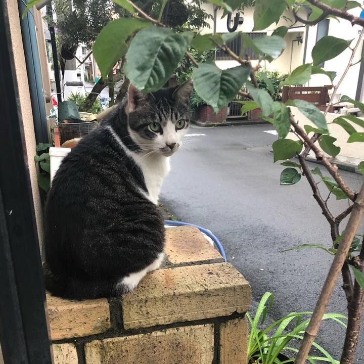 64d0a092 80db 4ce7 a8cb 22f64de2a744 1595505805367