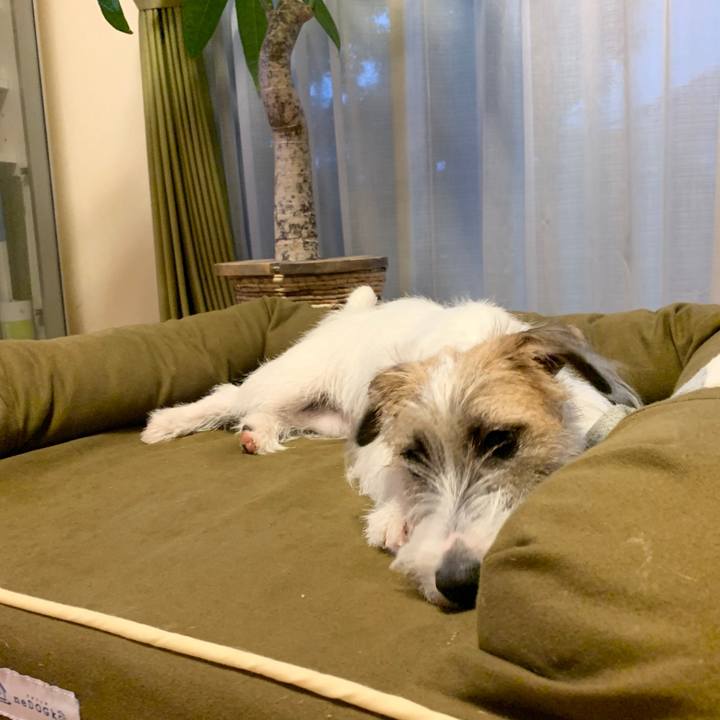 64d0c84b 8ff0 4e25 bd97 b04bb530a737 1570870045550