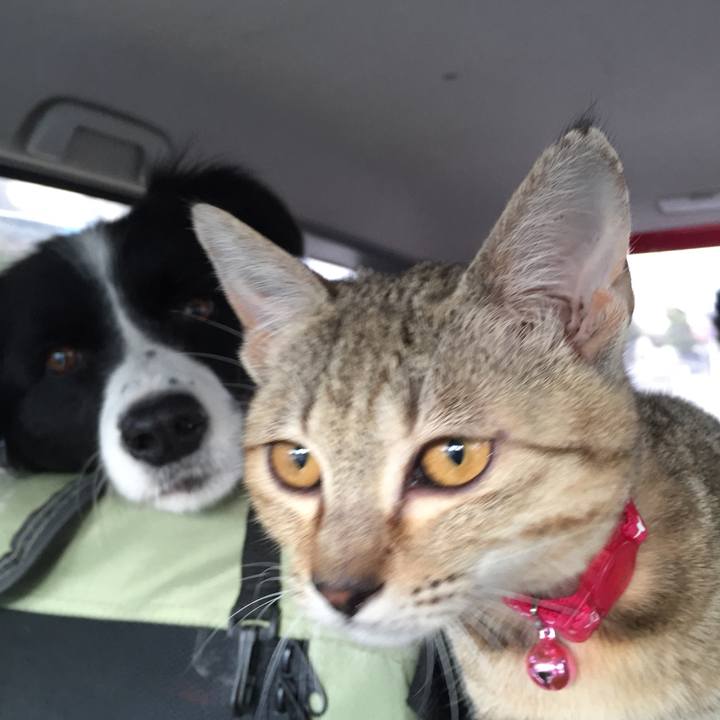 64d152be 84cf 4c08 99a2 b1dcac1fcb18 1515990068547